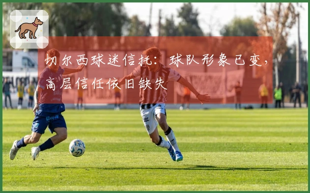 切尔西球迷信托：球队形象已变，高层信任依旧缺失