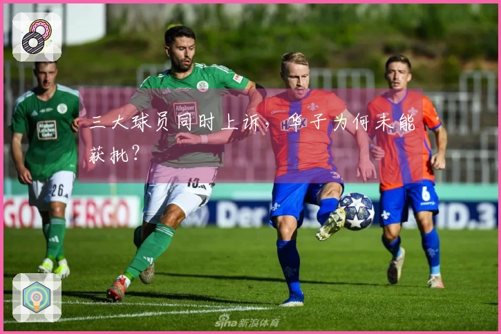三大球员同时上诉,华子为何未能获批?